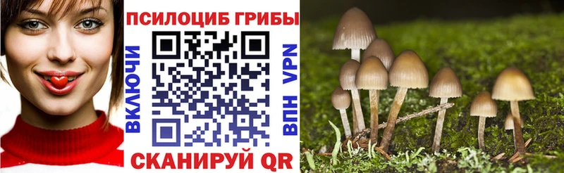 Галлюциногенные грибы Psilocybe  даркнет сайт  MEGA ссылка  Канск 
