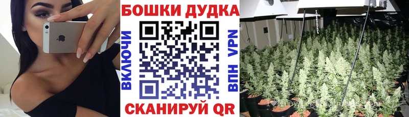 Марихуана Bruce Banner Канск